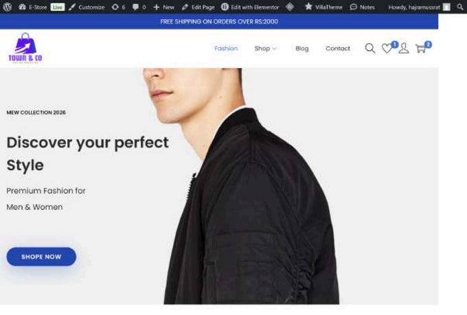 build custom elementor wordpress site for startups and companies